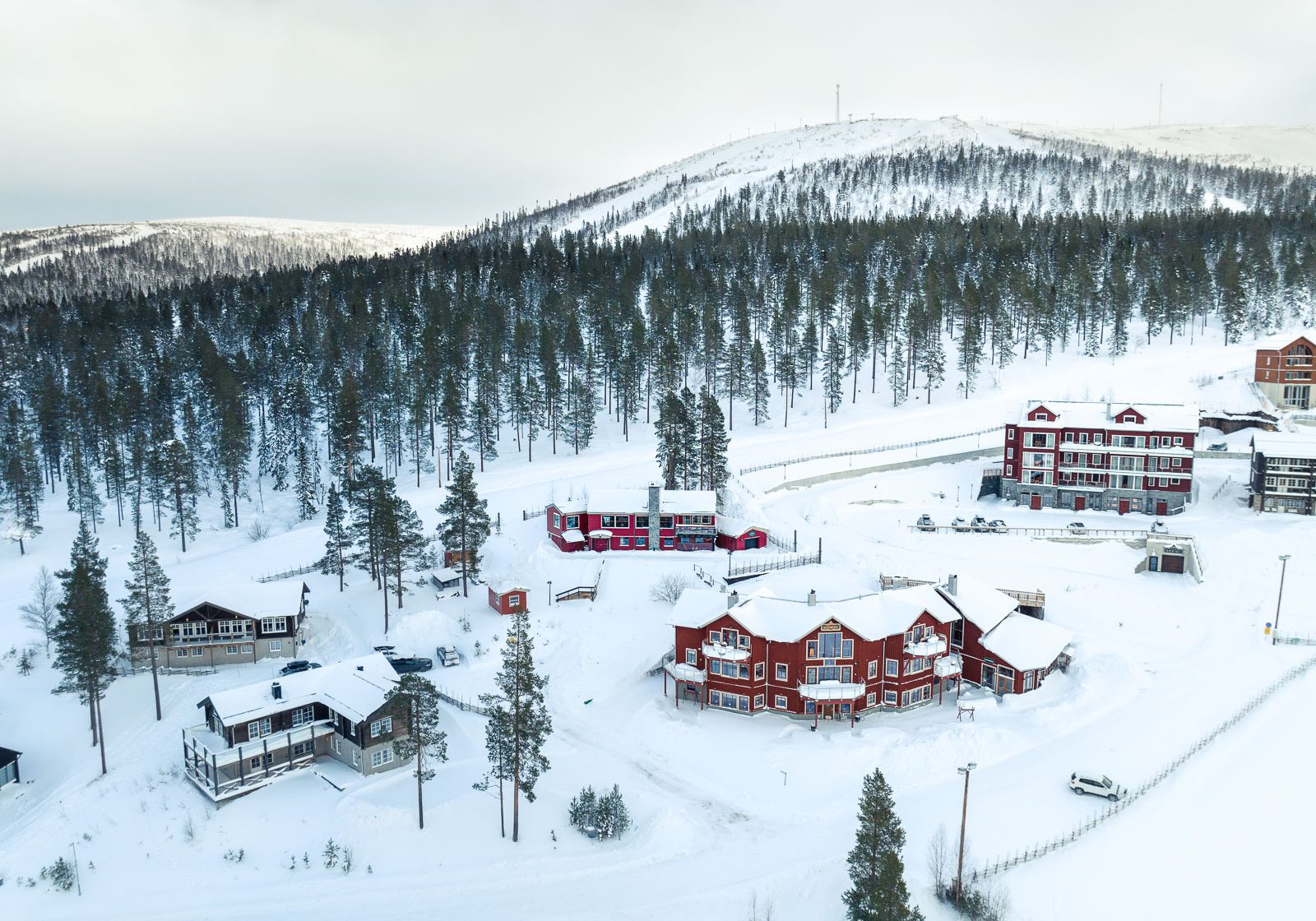 Tre hus i Björnrike